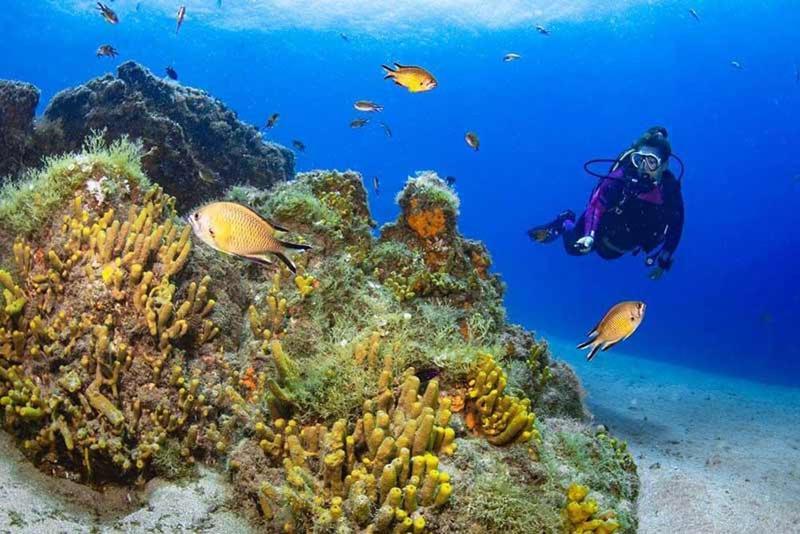 El Pisito La Dolce Vita Puerto del Carmen  Eksteriør bilde